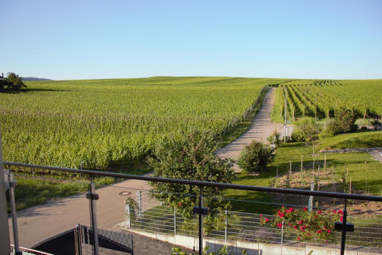 Gaestehaus Casa Luna - Paradiesische Ferienwohnungen Am Kaiserstuhl! Bischoffingen Exterior photo