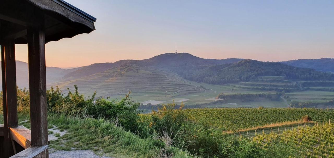 Gaestehaus Casa Luna - Paradiesische Ferienwohnungen Am Kaiserstuhl! Bischoffingen Exterior photo